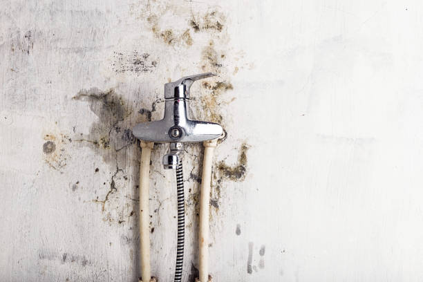 Inola, OK Mold Remediation Company