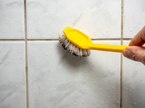 Best Health and Safety Mold Remediation in Inola, OK
